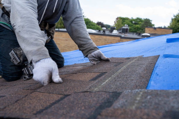 Best Roof Repair Services  in Ravenna, OH