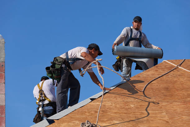 Best Roof Gutter Cleaning  in Ravenna, OH