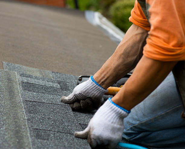 Best Roof Leak Repair  in Ravenna, OH
